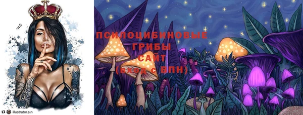 ALPHA-PVP Кинешма