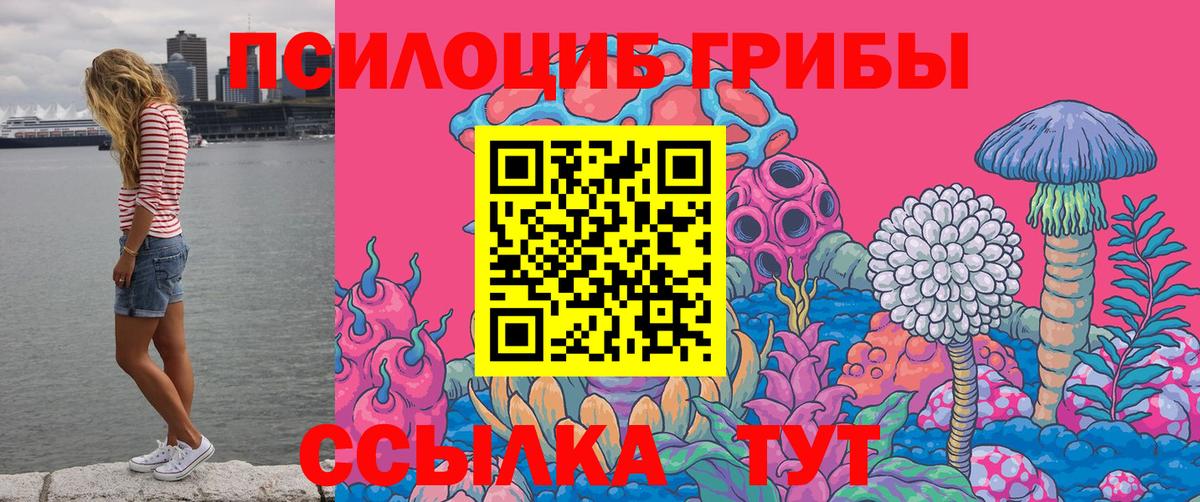 Псилоцибиновые грибы Magic Shrooms  магазин  наркотиков  Псилоцибиновые грибы Magic Shrooms  Томск  Вход с VPN 